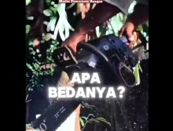 MO KASE TAU ! Tentang Info Desa