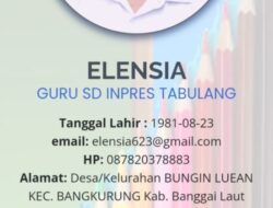 Heboh: Seorang SE di Balut Lulus PPPK di Angkat Sebagai Guru Kelas