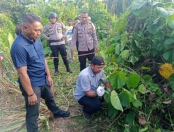 Polisi Intensif Lakukan Penyelidikan Penemuan Jenazah Anak di Desa Bone Baru