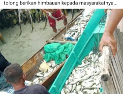 Warga Desa Mbuang-Mbuang Kec.Bokan Kepulauan, Gelar Aksi Protes Terkait Dugaan Pengeboman Ikan di Wilayah Mereka*