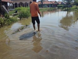 Perkembangan Situasi dan Penanganan Bencana 26 Mei 2025