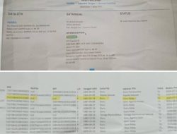 Kontroversi Data Dapodik: Pegawai Honorer Dikpora Balut Terdaftar Sebagai Guru Kelas, Ada Apa Dengan Bidang GTK.?