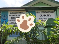 Akibat Trauma Pembullyan Di Cilacap, Siswa Madrasah Ibtidaiyah, Anak Berkebutuhan Khusus Meninggal Dunia