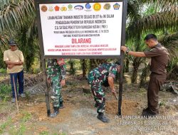 Pencabutan Izin PT Pancaran Wana Nusa (PWN) Memiliki Dasar Hukum yang Kuat