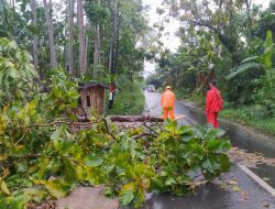Perkembangan Situasi dan Penanganan Bencana di Tanah Air 7 Oktober 2025