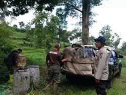 Perhutani KPH Bandung Utara dan Stakeholder Lakukan Pengawalan Angkutan Getah Pinus