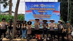 Perhutani Laksanakan Panen Raya Jagung Kuartal II Tahun 2026 di Cisarua