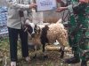 PPLI Salurkan Hewan Kurban untuk Warga Dua Desa di Bogor