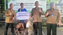 Perhutani KPH Bandung Utara Salurkan Hewan Kurban kepada Penyadap Getah Pinus melalui Program TJSL