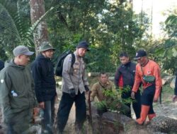 Perhutani Bersama BPBD Laksanakan Penanaman Pohon di Lokasi Wisata Catang Angkong