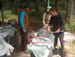 Perhutani Perkuat Kualitas Getah Pinus Melalui Pendampingan