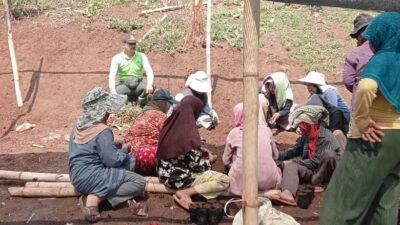 Perhutani Bandung Utara Tingkatkan Kualitas Persemaian melalui Pembinaan dan Evaluasi
