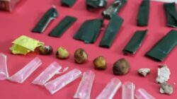 Polisi Berhasil Bekuk Pria Bawa Seberat 4,46 Gram Sabu di Kota Magelang.