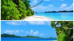 SOAL BOM IKAN DI PASIR PANJANG, LAUTNYA YANG DILEDAKKAN, APARATNYA IKUT ‘HANYUT’ TANPA KABAR?